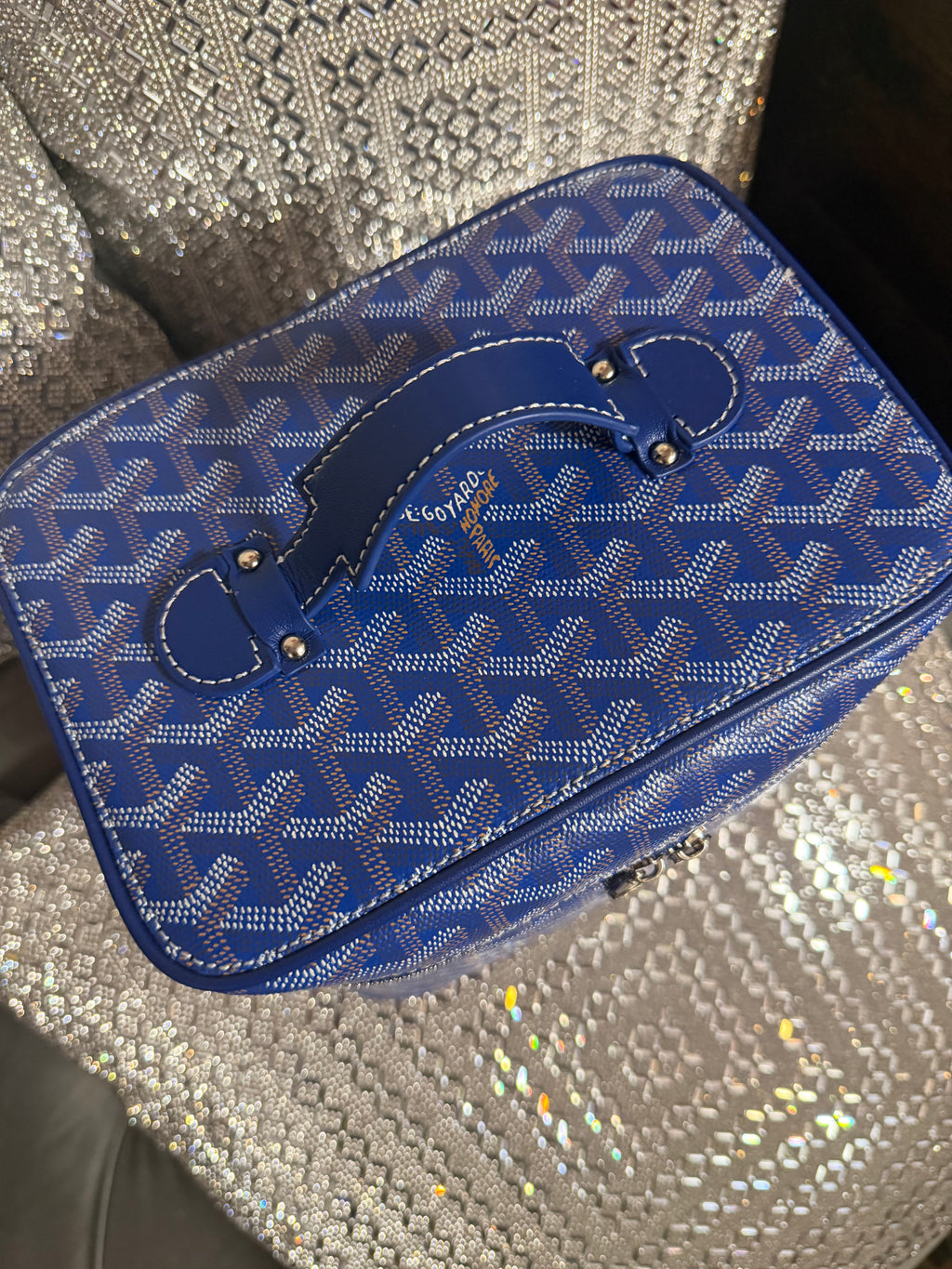 Goyard Vanity Bag