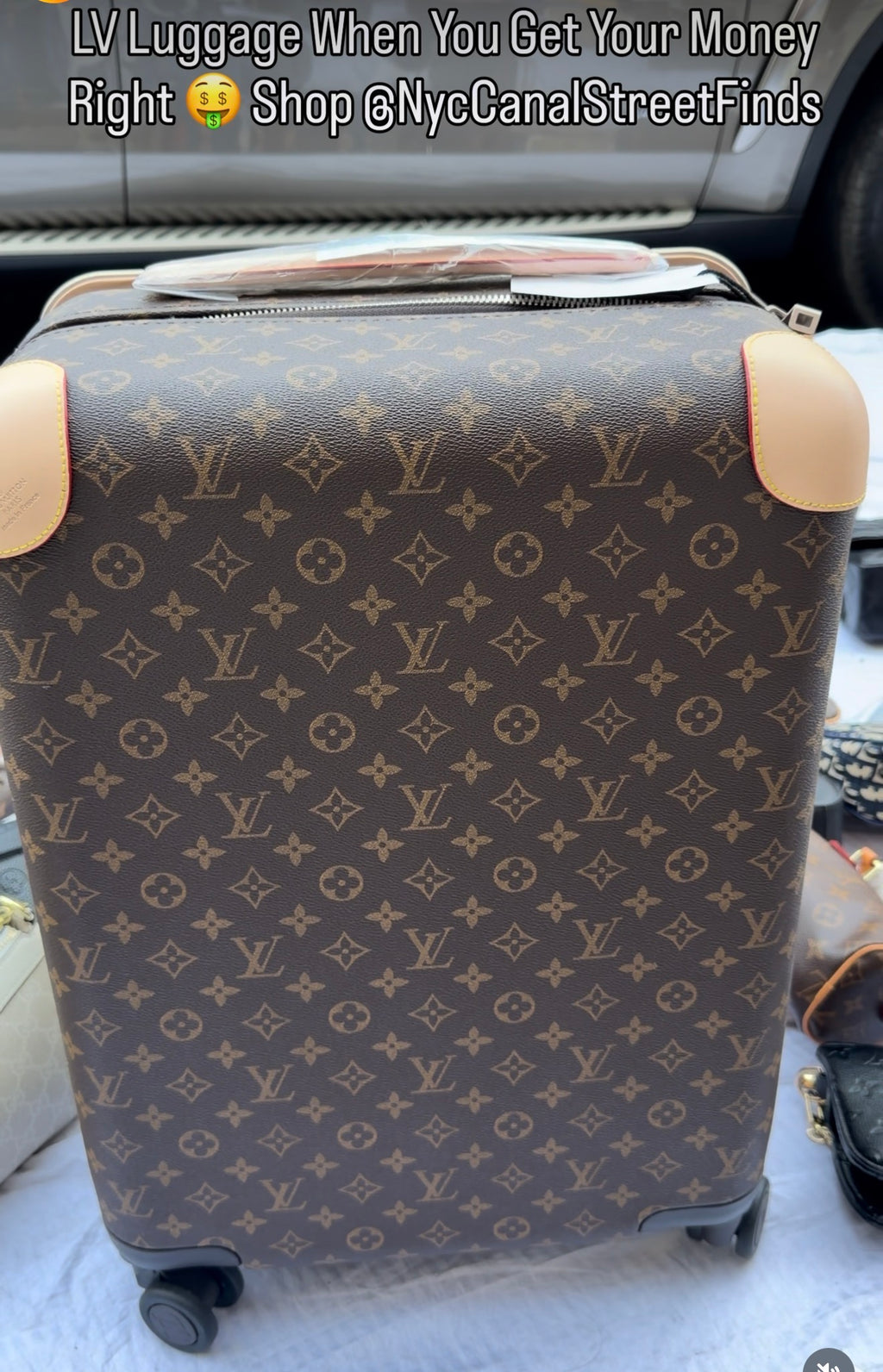 LV Exclusive Luggage Carryon