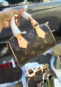 LV nano Speedy
