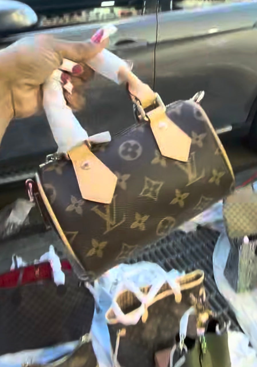LV nano Speedy