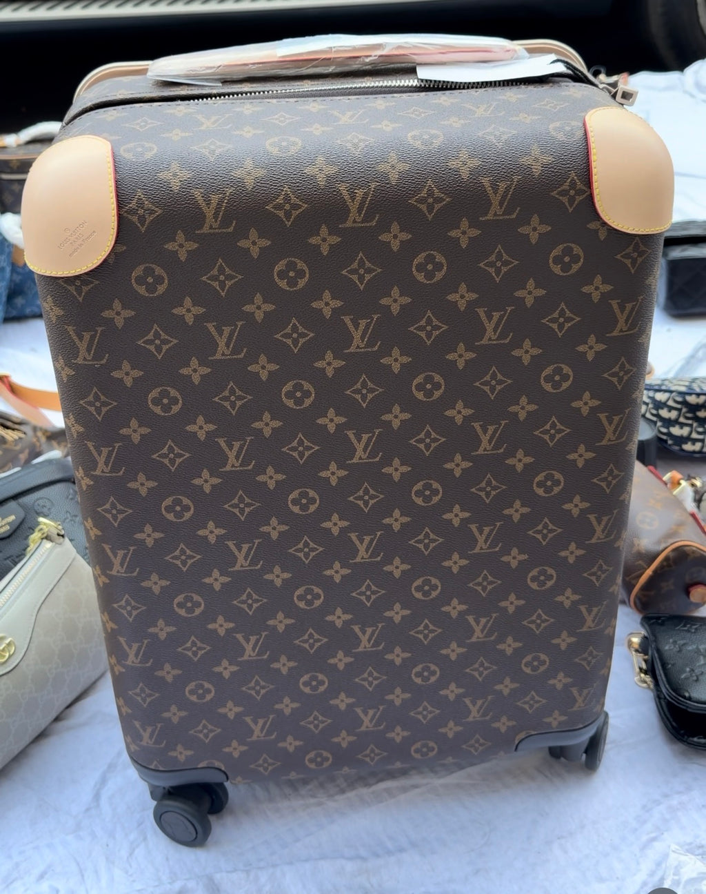 LV Exclusive Luggage Carryon